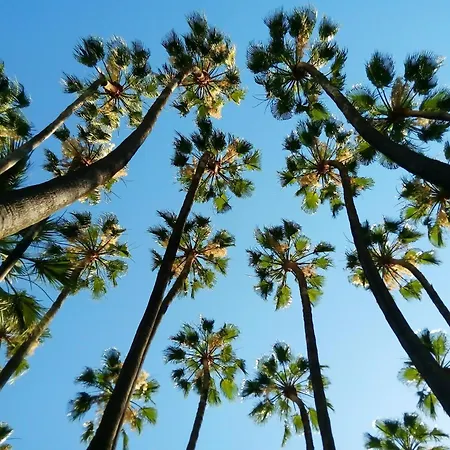 Apto Con Vistas Al Mar A 1min De Playa Appartement *