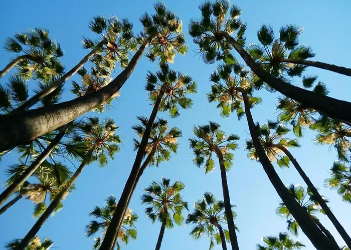 Apto Con Vistas Al Mar A 1min De Playa Apartment *